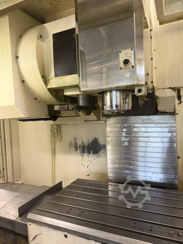  müga V43