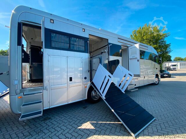Camión para ganado MERCEDES-BENZ 2663 STX 5 Pferde  POP-OUT+POP-UP  Top Zustand