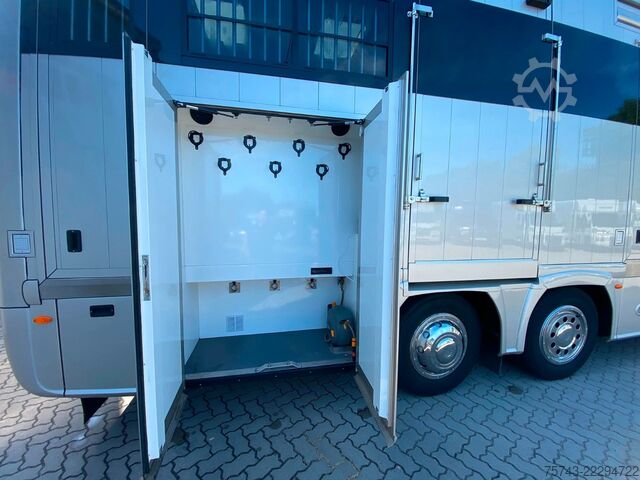 Camión para ganado MERCEDES-BENZ 2663 STX 5 Pferde  POP-OUT+POP-UP  Top Zustand
