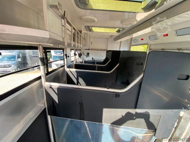 Camión para ganado MERCEDES-BENZ 2663 STX 5 Pferde  POP-OUT+POP-UP  Top Zustand