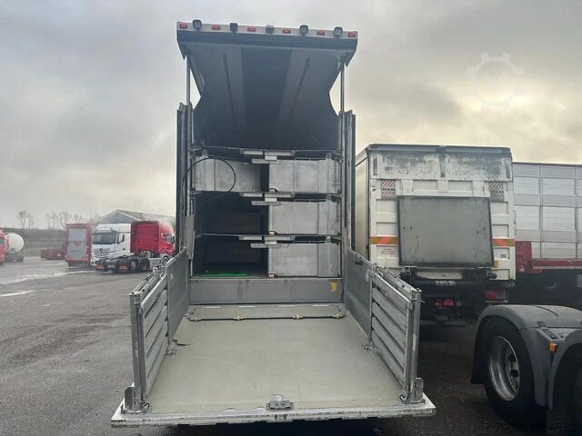Transporte de ganado Berdex NO BERDEX HMK 4 stock livestock trailer SPF