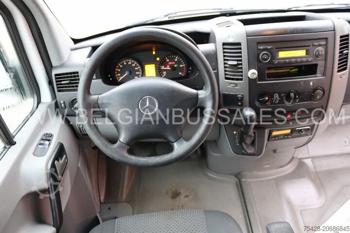 Minibus Mercedes Sprinter