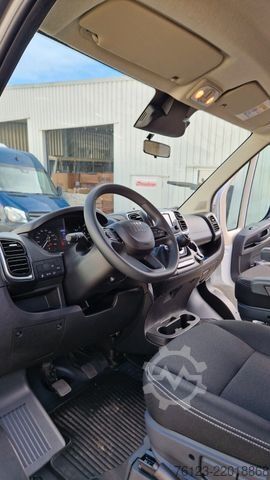 Minibus FIAT Fiat Ducato 9 Sitzer Systemboden Rolli Stock
