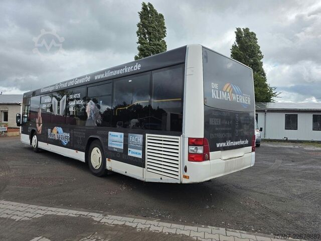 Starppilsētu autobuss MAN Lions City LE  Überland Niederflurbus 41+40+1+1