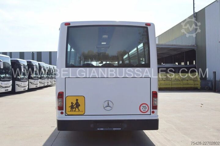 Minibus Mercedes-Benz Vario / 813D / Euro 5 / 8,5m