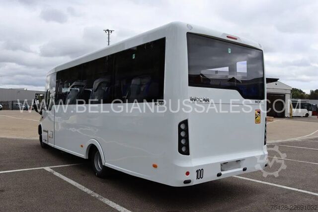 Xe buýt nhỏ Iveco Indcar Mobi Scolaire / 8.6m / 33 pl / Automatic / Airc...