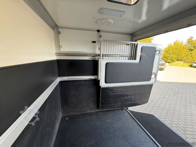 Camión de ganado RENAULT Master STX 3 Sitzer  Haras / Hengste