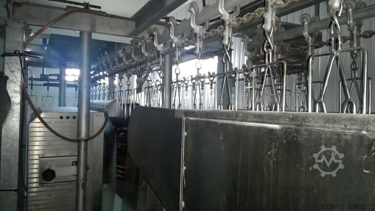 Matadero avícola 500 pollos por hora Tecmat Abattoir 500