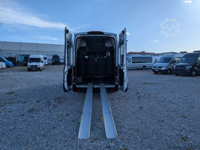 Buss FORD Transit