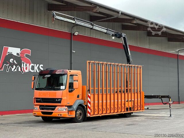 LKW mit Pritsche (offen) DAF LF 55.280 4x2 BL Pritsche mit FASSI LK & Glastr.
