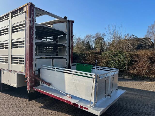 Transporte de ganado Berdex Newnion 4 stock livestock Type2 liftaxle 2