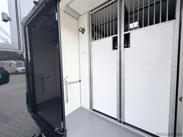 Transporteur de bétail RENAULT Master STX 5 Sitzer Haras ex. Lang Automatik