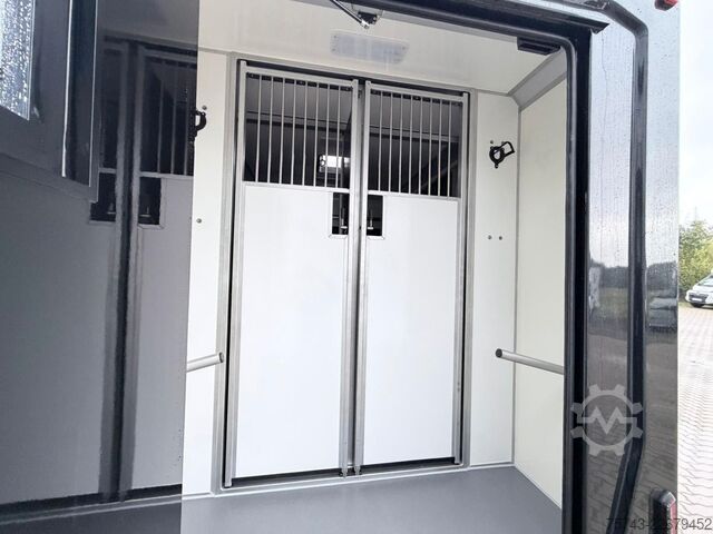 Transporteur de bétail RENAULT Master STX 5 Sitzer Haras ex. Lang Automatik