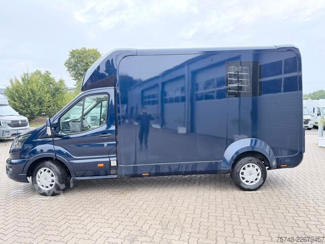 Transporteur de bétail FORD Transit STX  Haras 1-2 Pferde