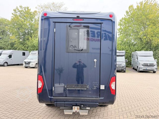 Transporteur de bétail FORD Transit STX  Haras 1-2 Pferde