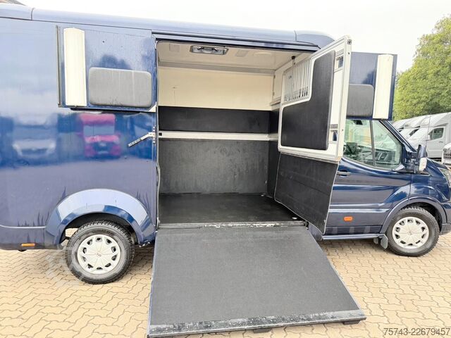Transporteur de bétail FORD Transit STX  Haras 1-2 Pferde
