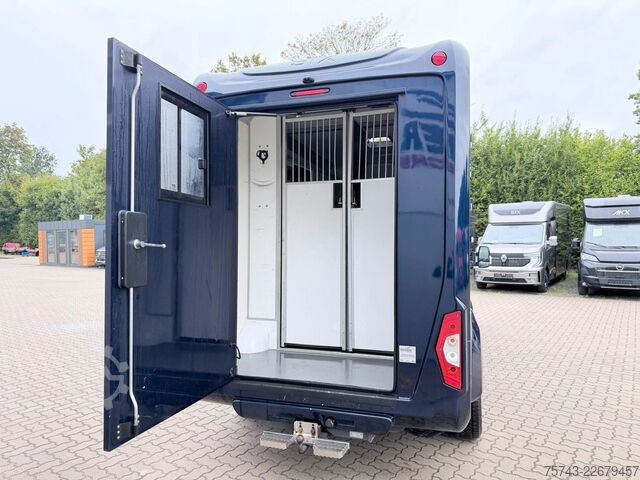 Transporteur de bétail FORD Transit STX  Haras 1-2 Pferde