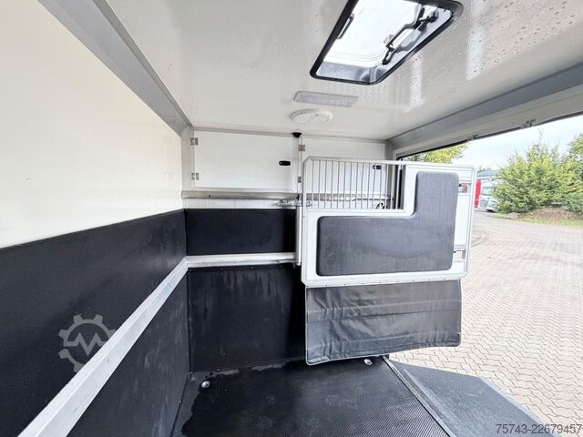 Transporteur de bétail FORD Transit STX  Haras 1-2 Pferde