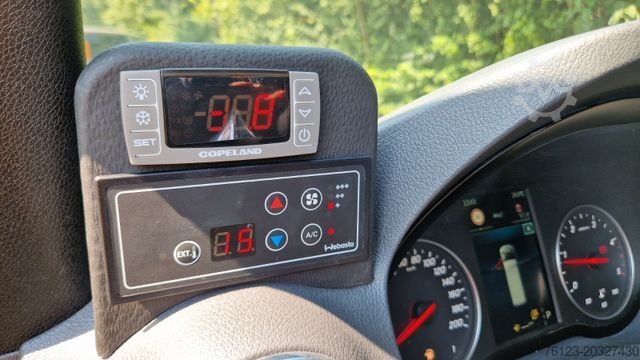 Minibus MERCEDES-BENZ 319  Sprinter VIP Shuttle 9 Sitzer  Panoramadach