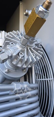 Hornlaga þjöppu Bayer Verticus 5 BAUER Verticus 5