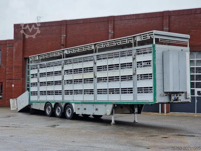 Transport av nötkreatur Pezzaioli 4 deck - Water & Ventilation - Lifting floors -...