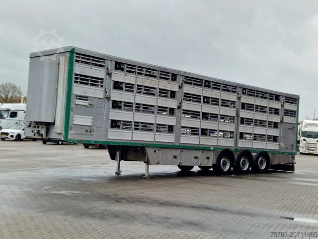 Cattle transport Pezzaioli 4 deck - Water & Ventilation - Lifting floors -...
